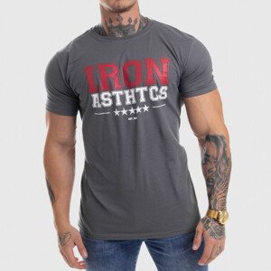 Pánské fitness tričko Iron Aesthetics VARSITY, šedé