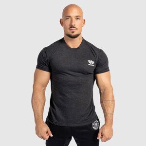 Pánské sportovní tričko Iron Aesthetics Tri-Blend, černé