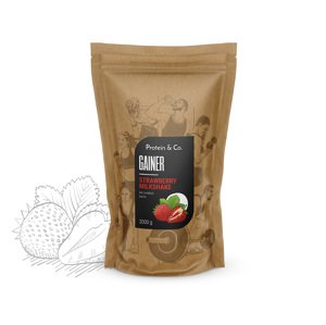 Protein&Co. Gainer 2 kg Vyber si z těchto lahodných příchutí: Strawberry milkshake