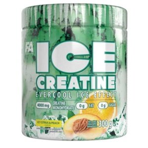 FA (Fitness Authority) FA Ice Creatine 300 g - mango/maracuja
