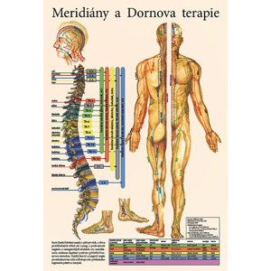 Vydavatelství Poznání Anatomická mapa - Meridiány a Dornova terapie