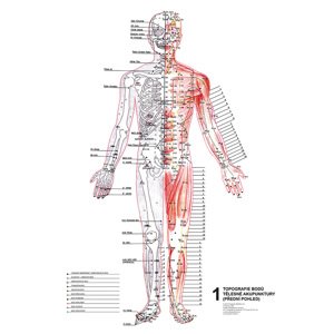 Vydavatelství Poznání Anatomické mapy - Topografie aku bodů
