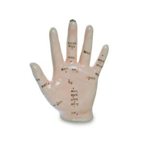 AcuPrime Model akupunkturních bodů ruky